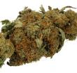 Cannabis file photo