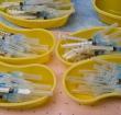 South Africa’s first vaccines will arrive in the country on February 1