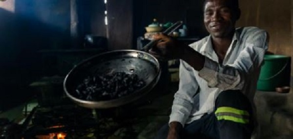 According to the Zimbabweans, the beetles are highly nutritious and medicinal