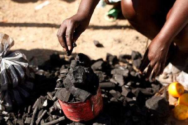 According to the country, the trade is damaging forests and causing carbon emissions