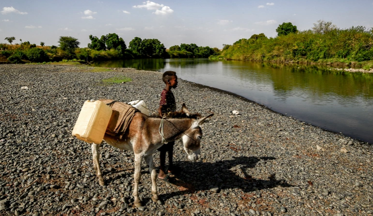 A boy stands next to a donkey loaded with jerry cans by the Atbarah River near the village of Dukouli within the Quraysha locality, located in the Fashaqa al-Sughra agricultural region of Sudan's eastern Gadarif state