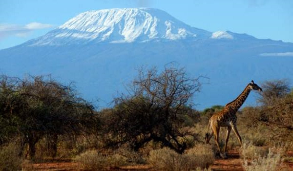 Tanzania's Mount Kilimanjaro, Africa's highest peak, is a major tourist attraction