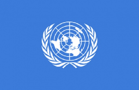 UN logo