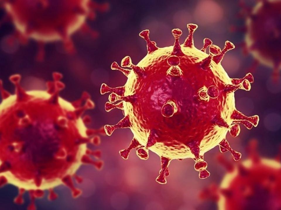 Africa has not been too badly hit in health terms, but the economy has suffered