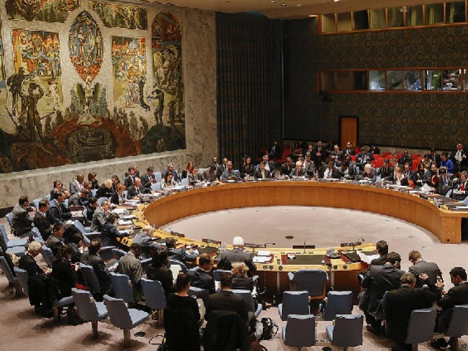 UNSC wants all foreign forces out 'without further delay'