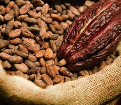 Cocoa 