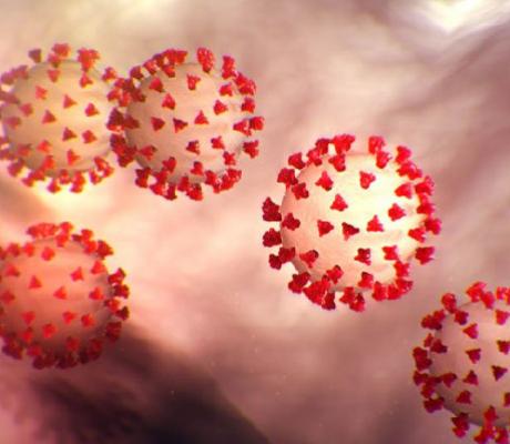 Coronavirus