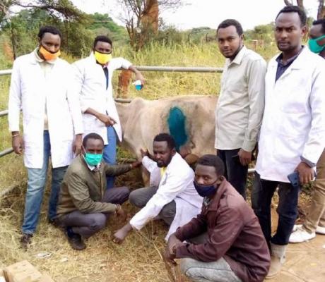 A team of vets in southern Ethiopia