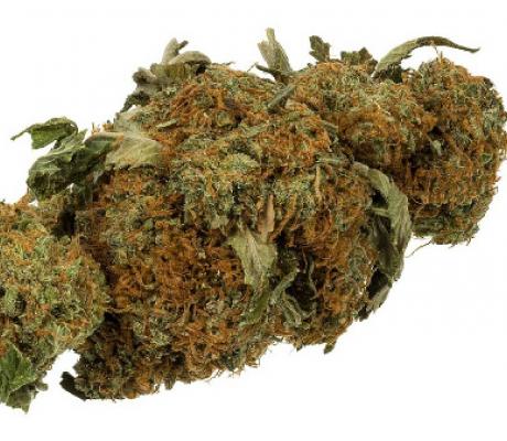 Cannabis file photo