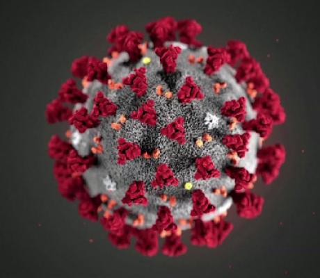 Dismay as DR Congo ‘offers its citizens’ for coronavirus vaccine testing