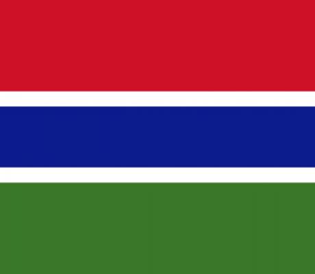 Flag of Gambia