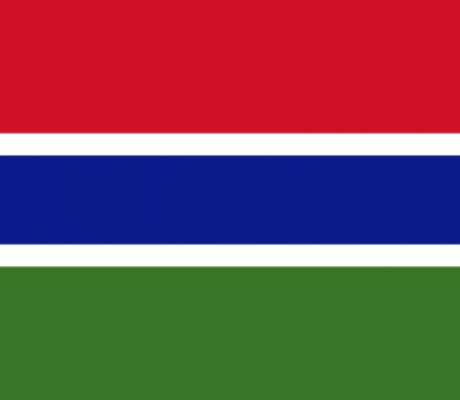 Flag of Gambia