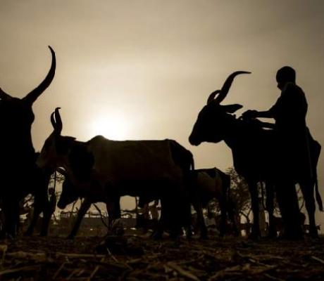 Gunmen often target people in Sokoto state