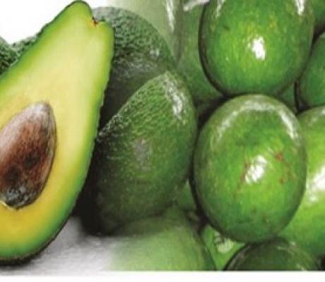 Kenya is one of the top producers of avocado