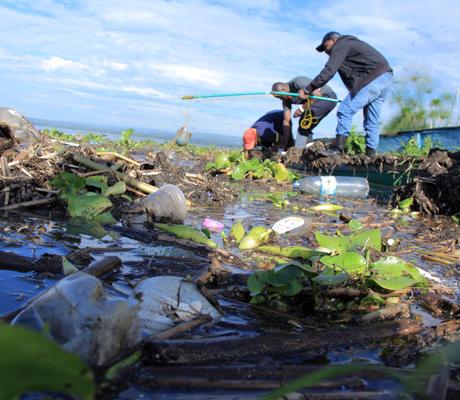 Lake Victoria Pollution