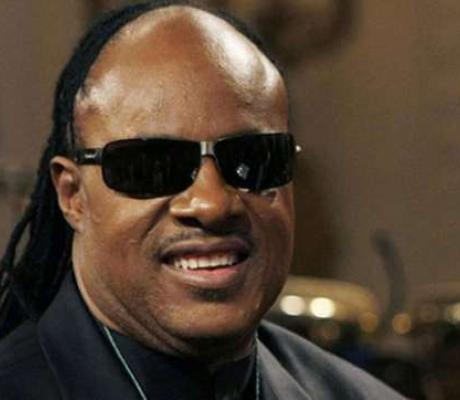 Singer, Stevie Wonder