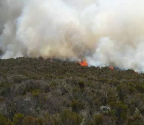 The fires have been raging since Sunday