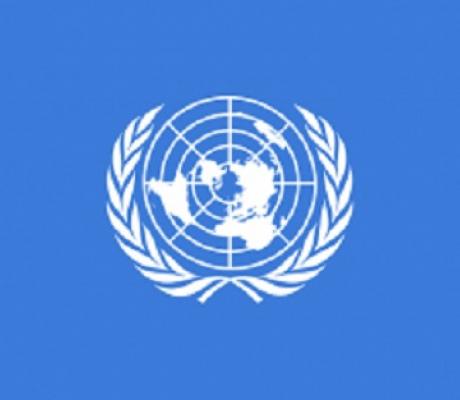 UN logo