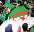 Algerians have been pushing for political reforms