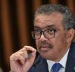 Tedros Adhanom Ghebreyesus. Chief of World Health Organization(WHO)